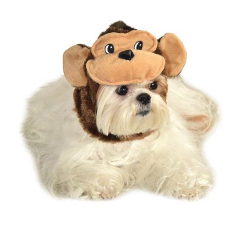 Monkey Hat Dog Costume | BaxterBoo