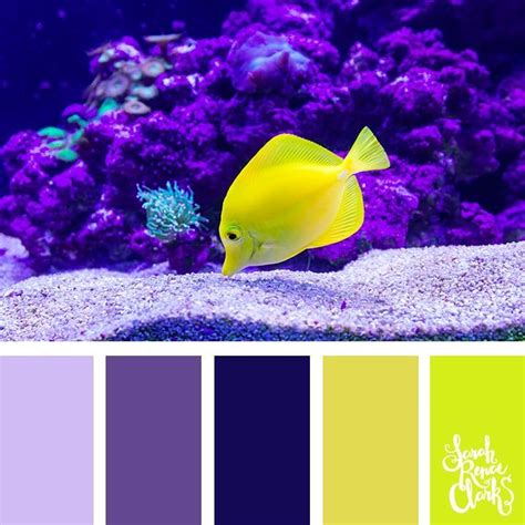 Spring Color Palette, Color Schemes Colour Palettes, Nature Color Palette, Colour Pallette ...