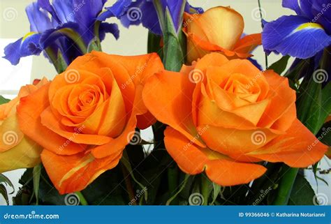 Bouquet of Roses and Iris Orange and Blue Theme Stock Photo - Image of ...