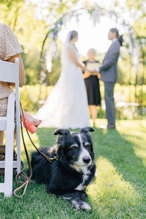 Log Haven Wedding Photography - Utah Wedding Photographer | Haley Thomas Photography