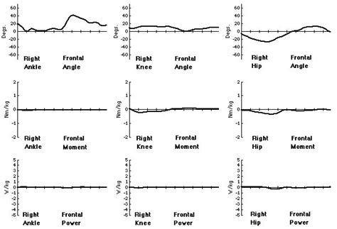 Clinical Gait Analysis