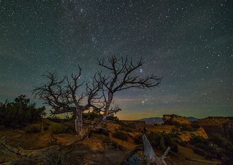 Desert Night - Light Source Journeys