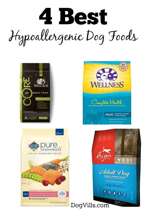 4 Best Hypoallergenic Dog Foods - DogVills | Hypoallergenic dog food, Best hypoallergenic dogs ...