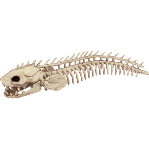 Skeleton Eel