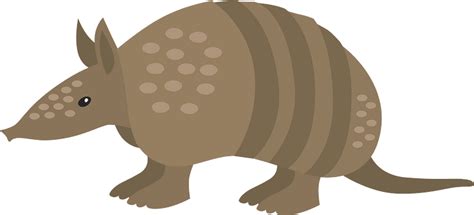 Armadillo clipart. Free download transparent .PNG | Creazilla