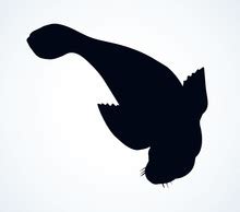 Seal Silhouette Free Stock Photo - Public Domain Pictures