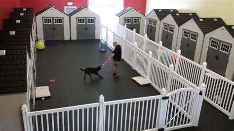 Why Dog Daycare Owners are Choosing WamBam Fence | WamBam Fence