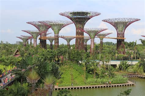 Singapore's artificial natural paradise | Engadget