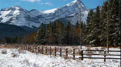 Winter scene - beautiful Alberta landscapes with great Christmas songs for inspiration. - YouTube