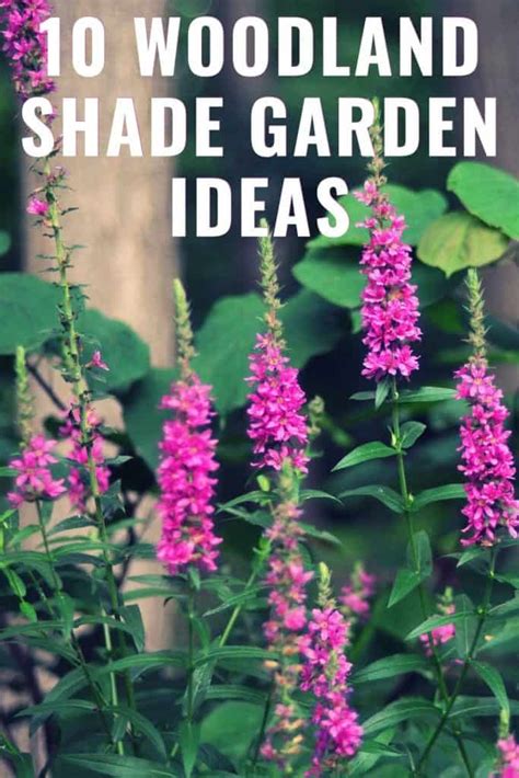 10 Woodland Shade Garden Ideas To Transform Your Tree-Filled Yard