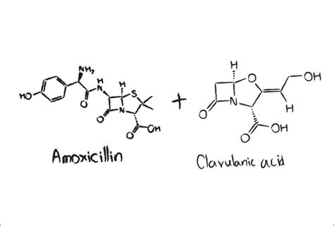 41 Clavulanic Acid Stock Vectors and Vector Art | Shutterstock