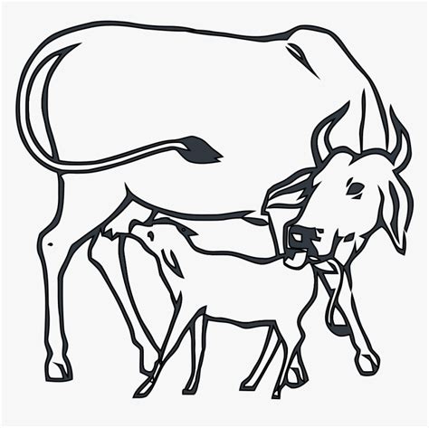 Indian Cow With Calf Png - Drawing Cow With Calf, Transparent Png - kindpng