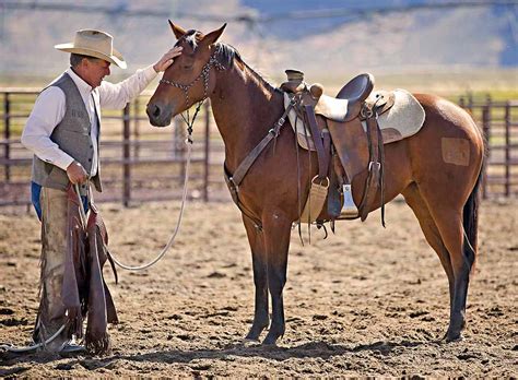 “Working” Animals Makes Your Job Easier | On Pasture