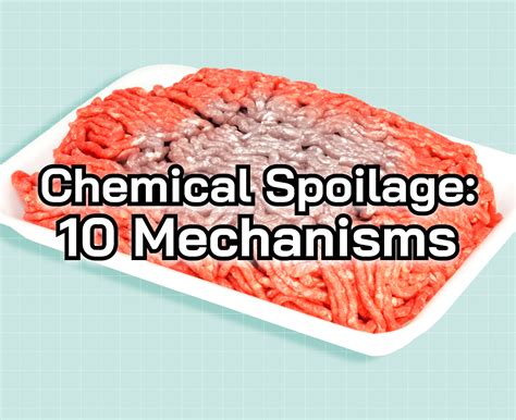 Chemical Food Spoilage: 10 Mechanisms