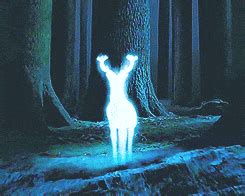 What Does Your Patronus Say About Your Personality? (2022)