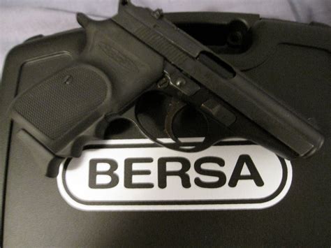 Another Gun Blog: .22 ing Around With A Bersa