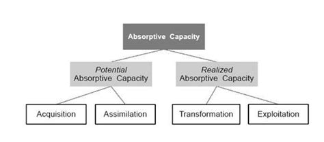 What is Absorptive Capacity? Definition & Explanation | Marketing91