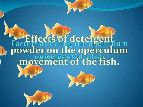 PPT - Factors affecting the operculum movement of a fish PowerPoint Presentation - ID:4671589