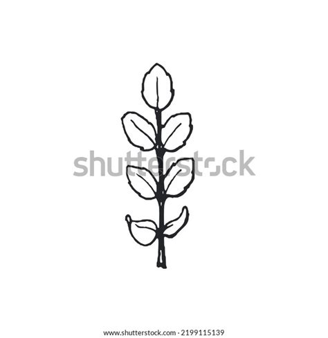 Vector Black White Leaf Silhouette Isolated Stock Vector (Royalty Free ...