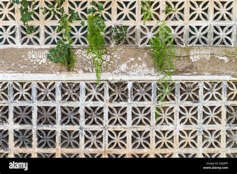 Decorative concrete blocks wall with different creeping plants background Stock Photo - Alamy