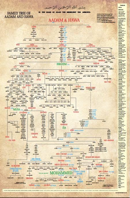 Family Tree of Aadam and Hawa | Prophets in islam, Learn islam, Islam facts