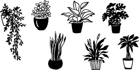 Black and white silhouettes of house plants in pot. Vector doodles illustrations of monstera and ...