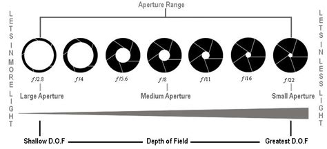 Understanding Aperture in 3 Quick & Easy Steps! | Camera aperture, Aperture, Dslr photography tips