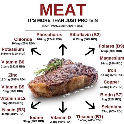 ~𝐒𝐜𝐢𝐞𝐧𝐜𝐞 𝐒𝐮𝐧𝐝𝐚𝐲~⁣ ⁣ Here are a few reasons why beef is THE BEST health food:⁣ ⁣ - It’s one of ...