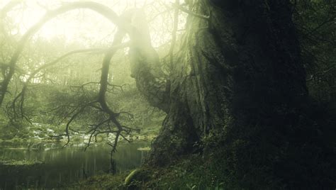 A Week in the Wild - Part 2: Landscape Photography in the Cairngorms National Park | Fstoppers