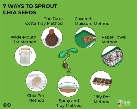 7-Ways-to-Sprout-Chia-Seeds-Infographic | Your Indoor Herbs and Garden