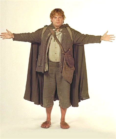 sam with cloak | Lotr costume, Hobbit costume, Lord of the rings