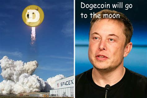 Elon Musk Dogecoin Meme - Elon Musk Offers Money To Help Dogecoin Become Currency Of The ...