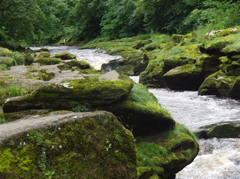 2016 Bolton Abbey – Strid