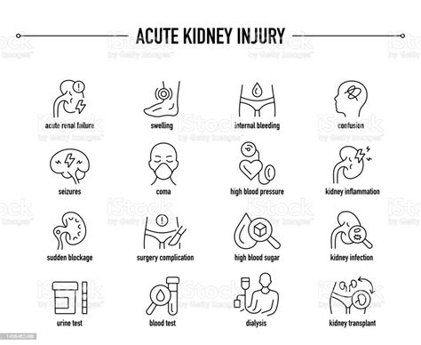 Acute Kidney Injury Vector Icon Set Stock Illustration - Download Image ...