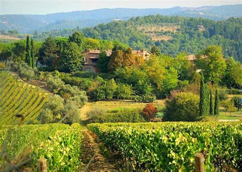 Chianti Italy tourist information for a visit to Chianti, Italy | Visit Chianti