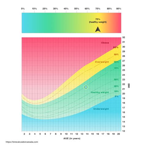 Bmi chart women 2020 - MaireadCailan