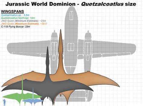 JWD Quetzalcoatlus size estimates, based on the model of plane it is shown attacking. : r/Dinosaurs