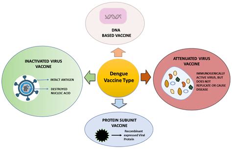 Vaccines | Free Full-Text | Preparedness for the Dengue Epidemic: Vaccine as a Viable Approach