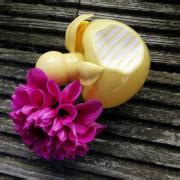 Nina Soleil Nina Ricci perfume - a new fragrance for women 2022