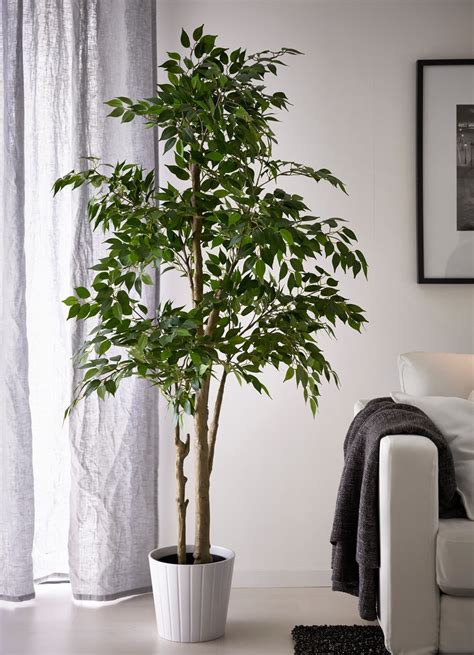 5 Times That Fake Plants Make The Cut (Or Do They?) | Apartment Therapy