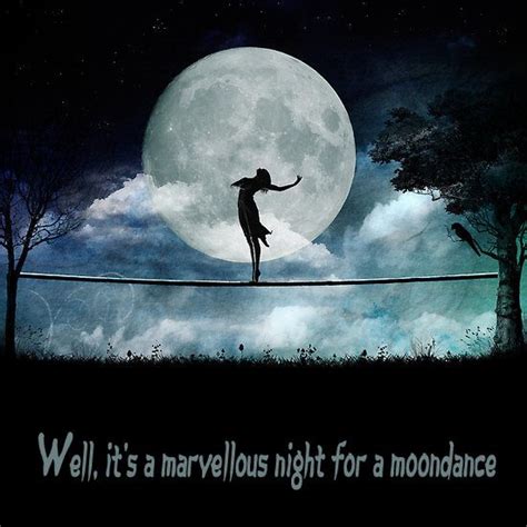 Moondance | Music | Pinterest