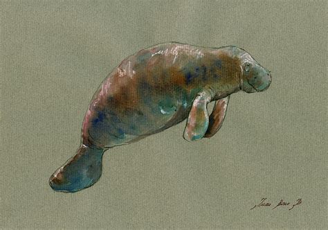 Manatee watercolor art Painting by Juan Bosco - Pixels