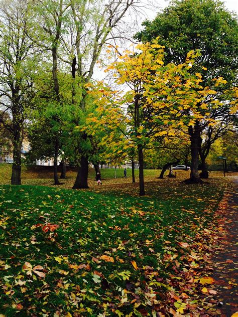 Kelvingrove Park | Beautiful gardens, Autumn landscape, Autumn scenes