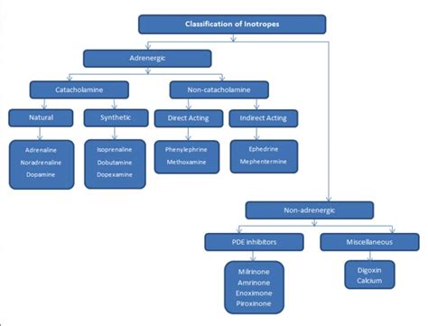 Classification of Inotropes | Highlights | Cardiac Anaesthesia | Dr Amarja Nagre