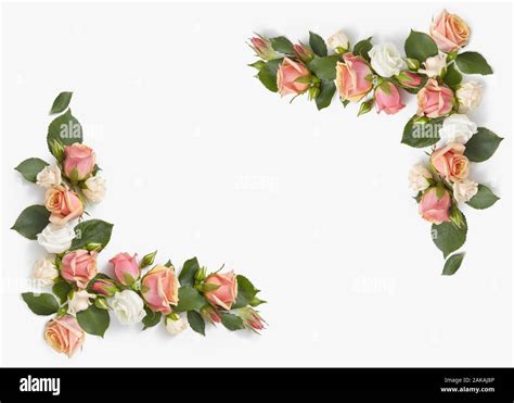 Corner flowers frame for congratulation Stock Photo - Alamy