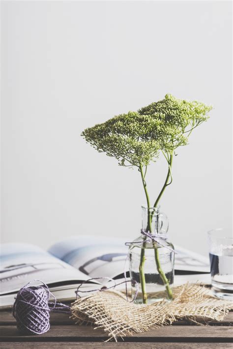 Free Images : table, tree, branch, book, wood, leaf, flower, green, natural, houseplant, twine ...