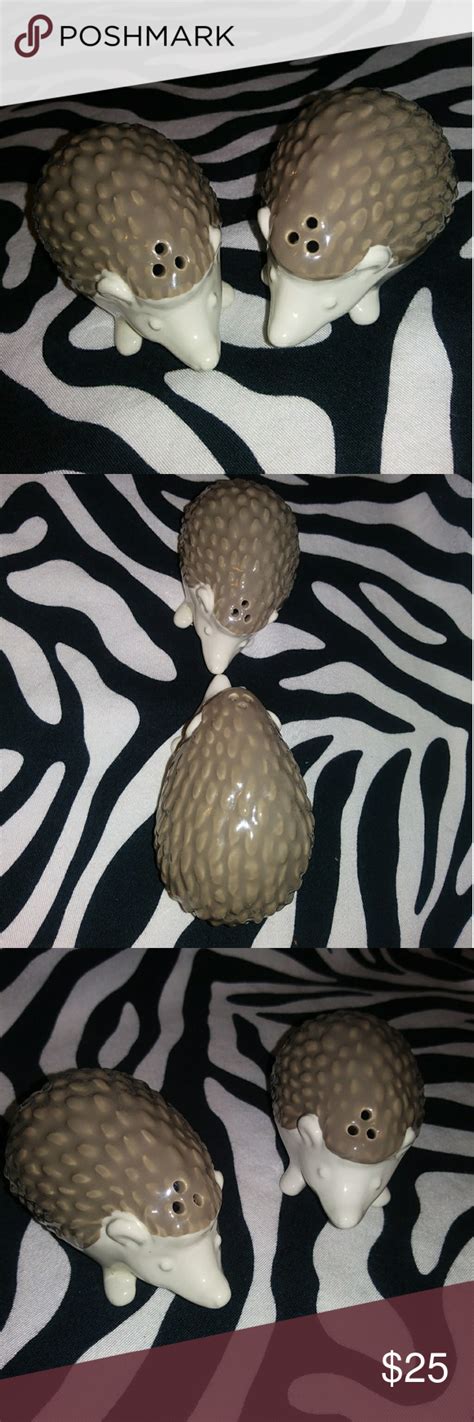 Target Brands 2014 Hedgehog salt/pepper shaker | Hedgehog, Salt pepper shakers, Pepper shaker