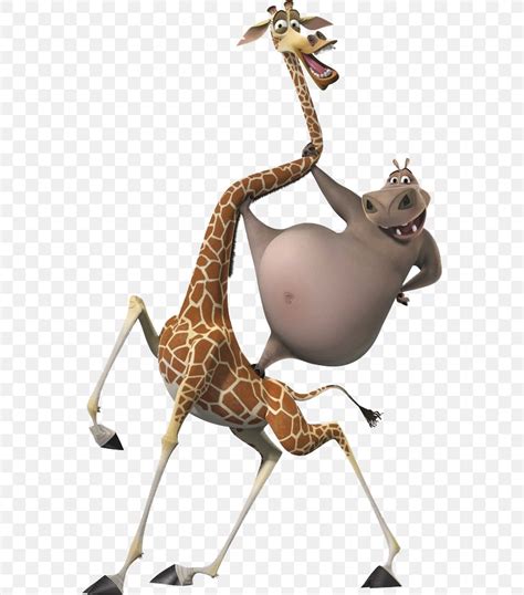 Gloria Melman Alex Giraffe Madagascar, PNG, 564x932px, Gloria, Alex ...