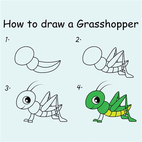 Premium Vector | Step by step to draw a Grasshopper Drawing tutorial a Grasshopper Drawing ...