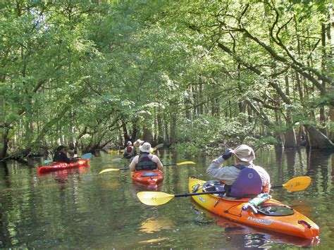 Edisto River kayaking - April 10, 2010 | Flickr